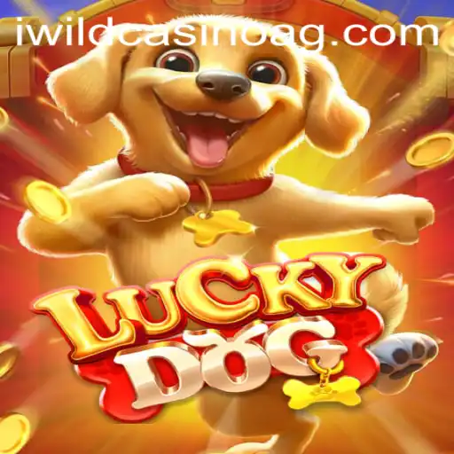LuckyDog Game Review and Analysis